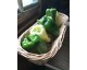 Poivrons de couleurs (jaune, orange, rouge...)